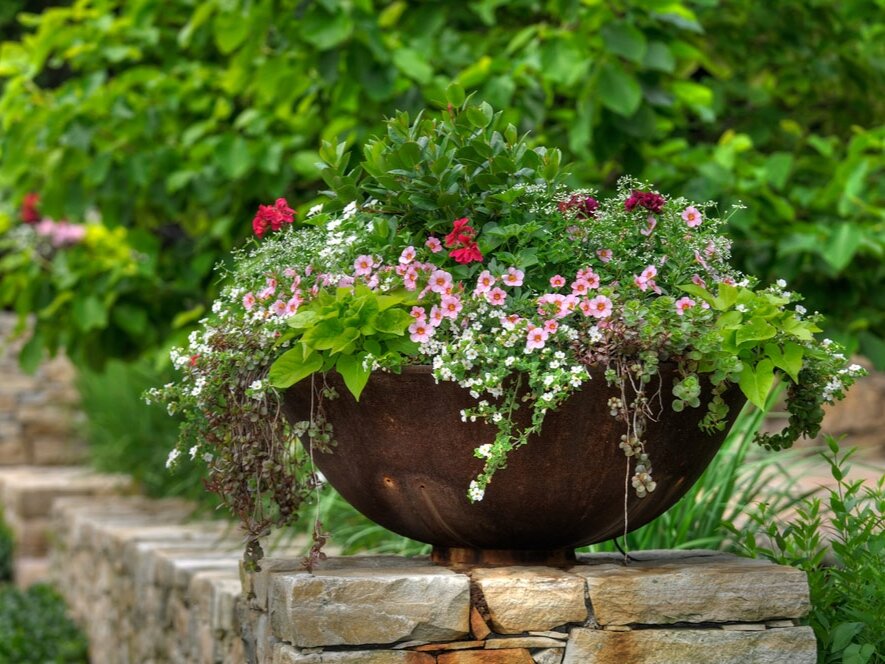 Фото: theenglishgarden.co.uk