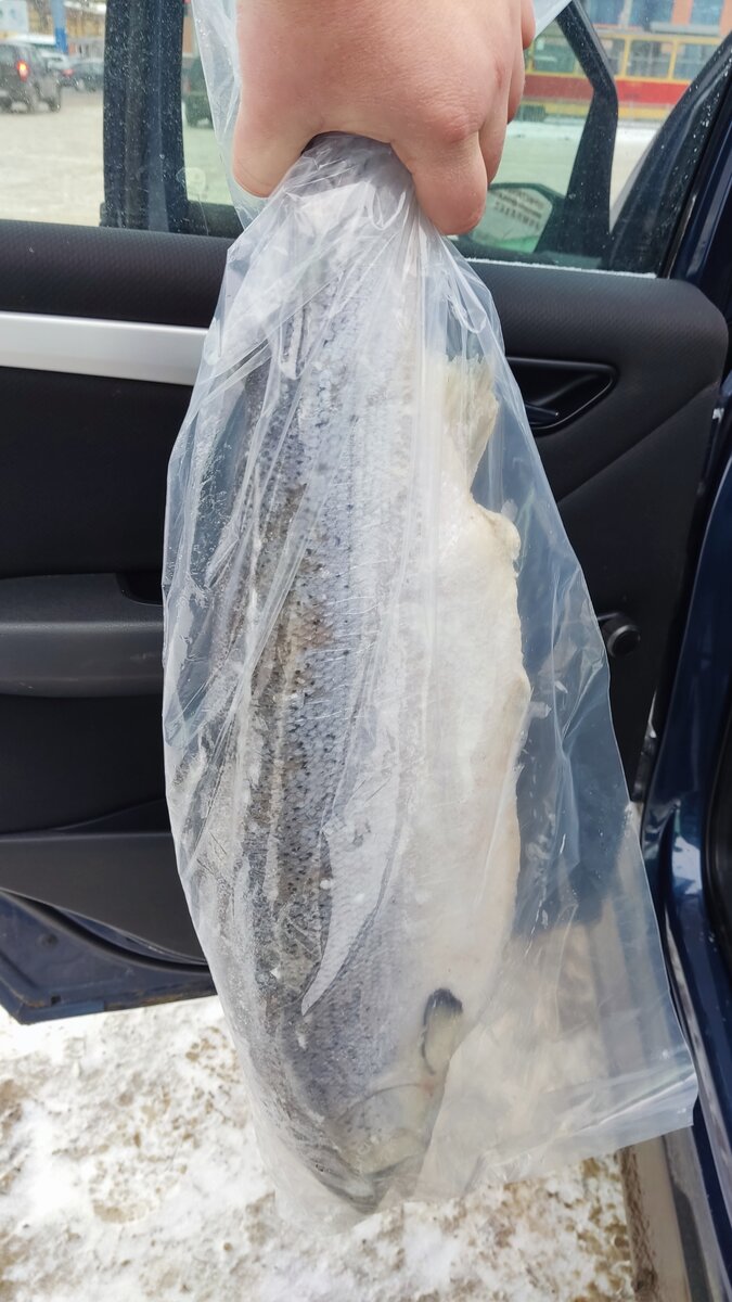 Несмотря на то, что соленая семга прекрасно хранится в холодильнике, все же советую солить семгу небольшими порциями. Очень удобно солить семгу 300 граммовым кусочком. Если для праздника требуется засолить больше семги, то приготовьте два или три таких кусочка.Прежде всего, выбираем свежую или охлажденную семгу. Обращаем внимание на запах и вид рыбы. Мякоть должна быть плотной и упругой, при надавливании пальцем быстро восстанавливать свою форму. Обычно запах у свежей семги приятный, слегка отдает огурцом. Если штырит рыбой, то это нам не подходит, ни для жарки, ни для засолки.Итак, берем мякоть семги одним куском без кожи и хребта. Поскольку у меня все очень любят соленую семгочку, то я сразу засаливаю два трехсотграммовых кусочка.Готовим смесь из соли и сахара. Воздержитесь от соблазна положить перец. У семги очень нежный вкус и приятный запах, которые не стоит портить слишком сильным запахом перца.Рыбу обмакиваем в смеси из соли и сахара. Тщательно обмакиваем со всех сторон.Солим семгуОборачиваем семгу одним слоем марли или тонкой хлопчатобумажной ткани.Кладем сверточек в стеклянную или эмалированную посуду.Сначала выдерживаем семгу 3-4 часа при комнатной температуре, затем прячем в холодильник. Общее время засолки семги 24 часа.Затем снимаем марлю. Во время засолки семга выпускает сок, а сама становится более плотной и яркой, чем свежая рыба.Как солить семгуСоленую семгу обмываем под холодной проточной водой, остатки воды удаляем бумажными салфетками. Выкладываем семгу на тарелочку. Осталось порезать рыбку в зависимости от предполагаемого блюда, хотя и сама по себе семга отлично идет как закуска