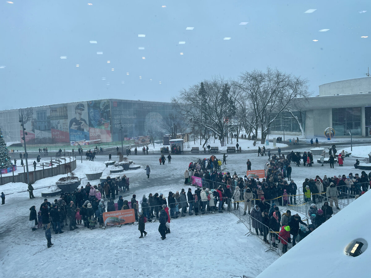 Съездили в самый большой аквариум в стране. Подводные камни Москвариума и  секреты, как обойти очереди | Мария Нефедова | Дзен