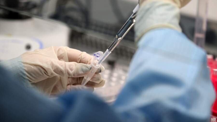 Фото: ИЗВЕСТИЯ/Кристина Кормилицына