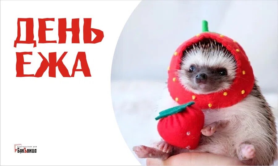 День ежа 2 февраля