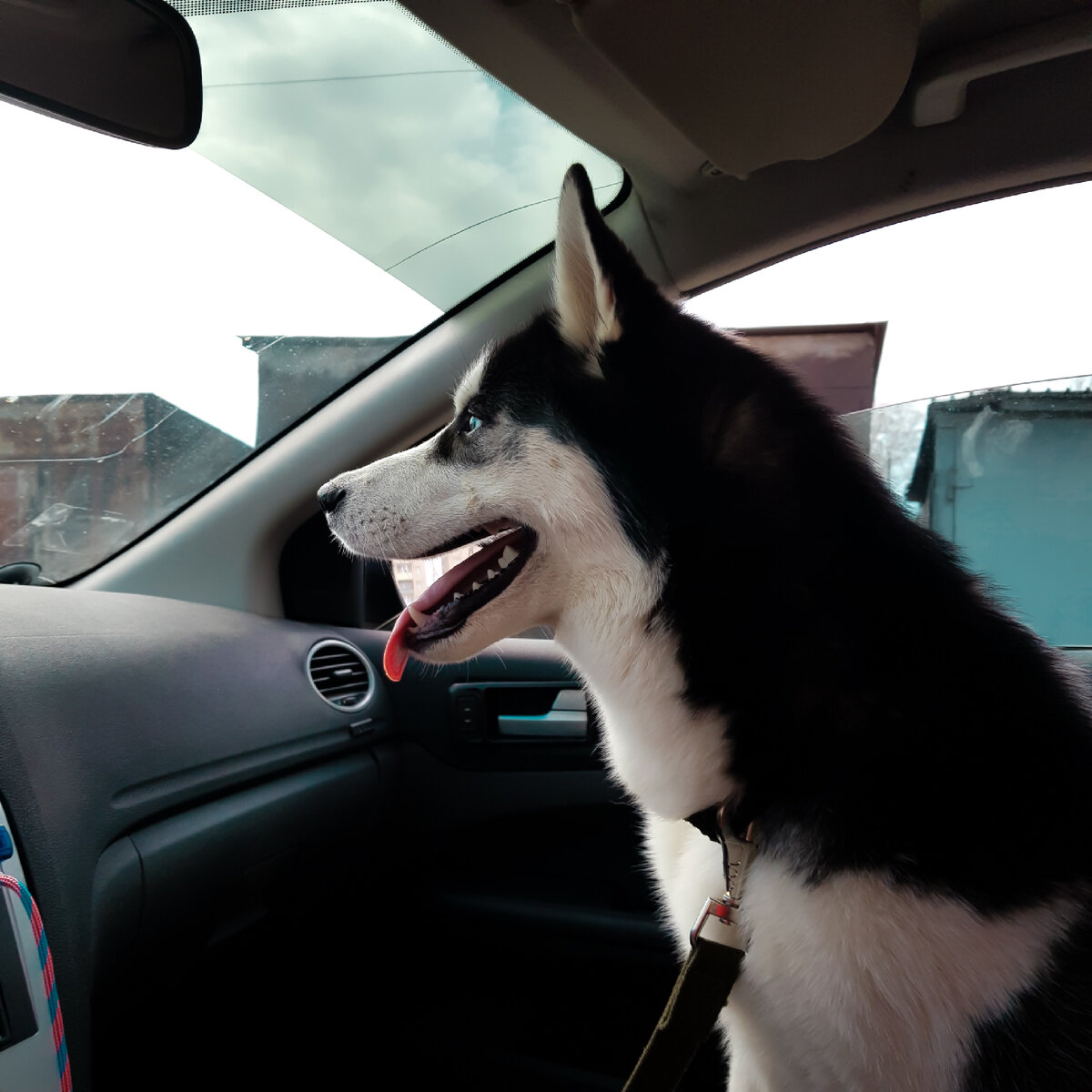 Довольный😅