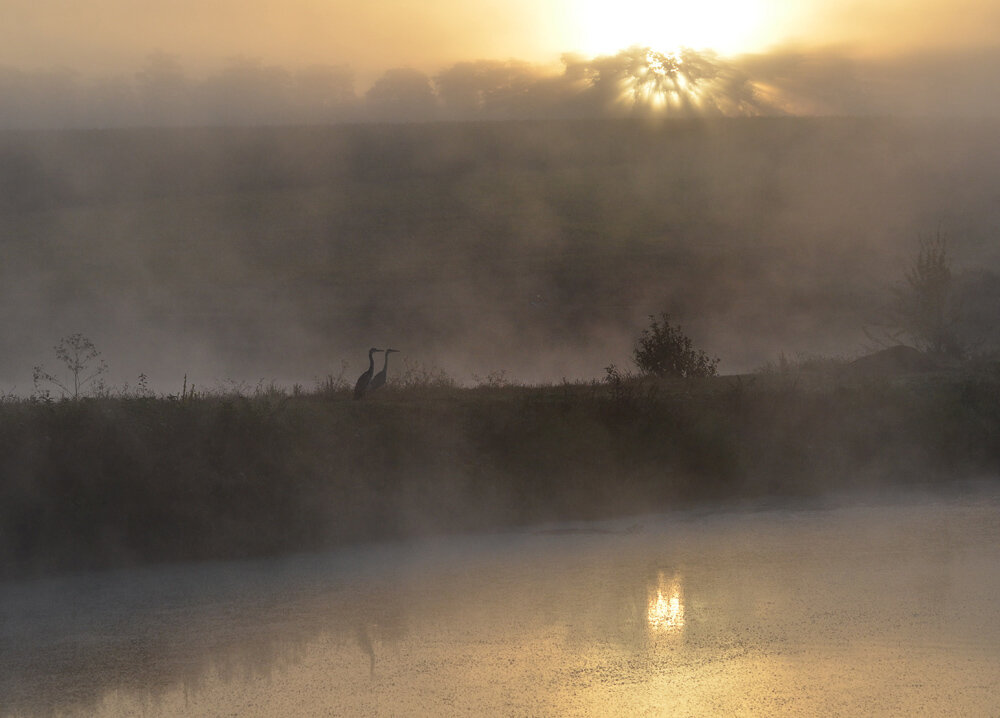 марево. марево. вечернее марево. марево новгородская область. что марево порождает.