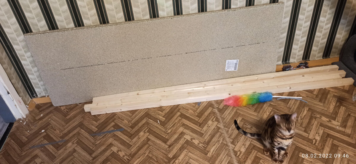 Моя котейка)