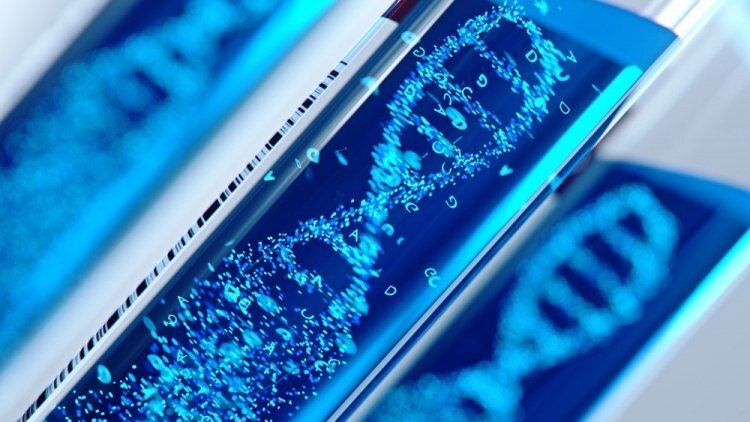 При ревматизме иммунная система по ошибке атакует собственные ткани, что может приводить к серьезным последствиям