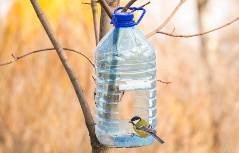 Как сделать кормушку для птиц из пластиковой бутылки?