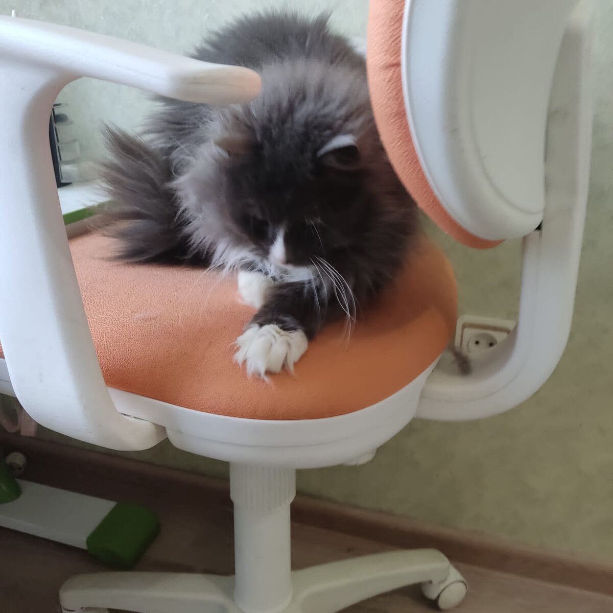 Фото с просторов.