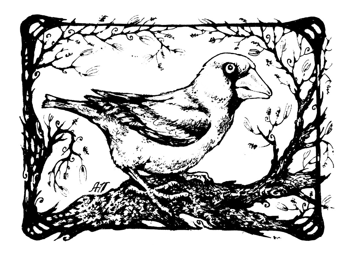 "Дубонос", (с) Алена Подобед, бумага А5, тушь, 28.03.2022