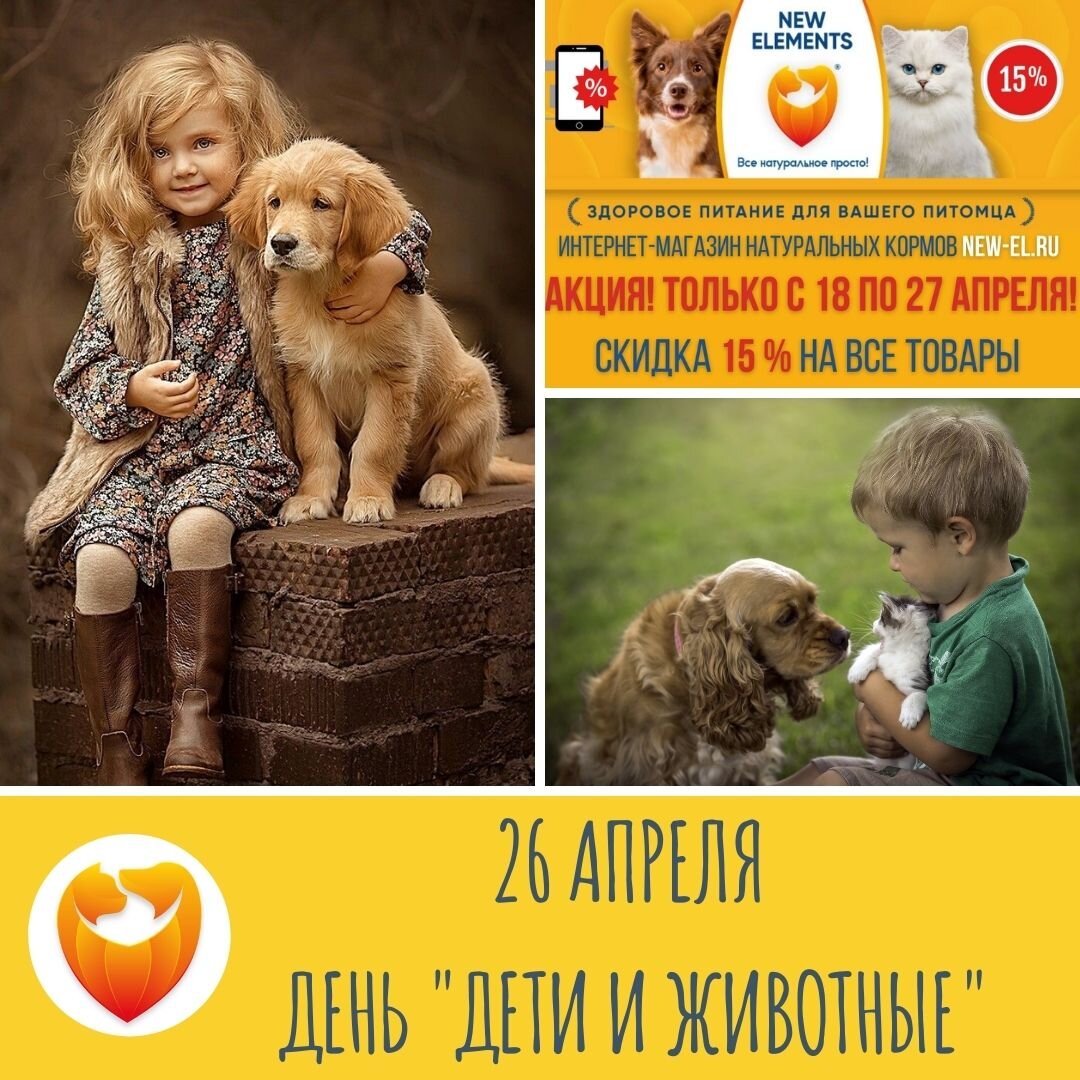 Подпишись на наш канал и получай полезную информацию ежедневно!