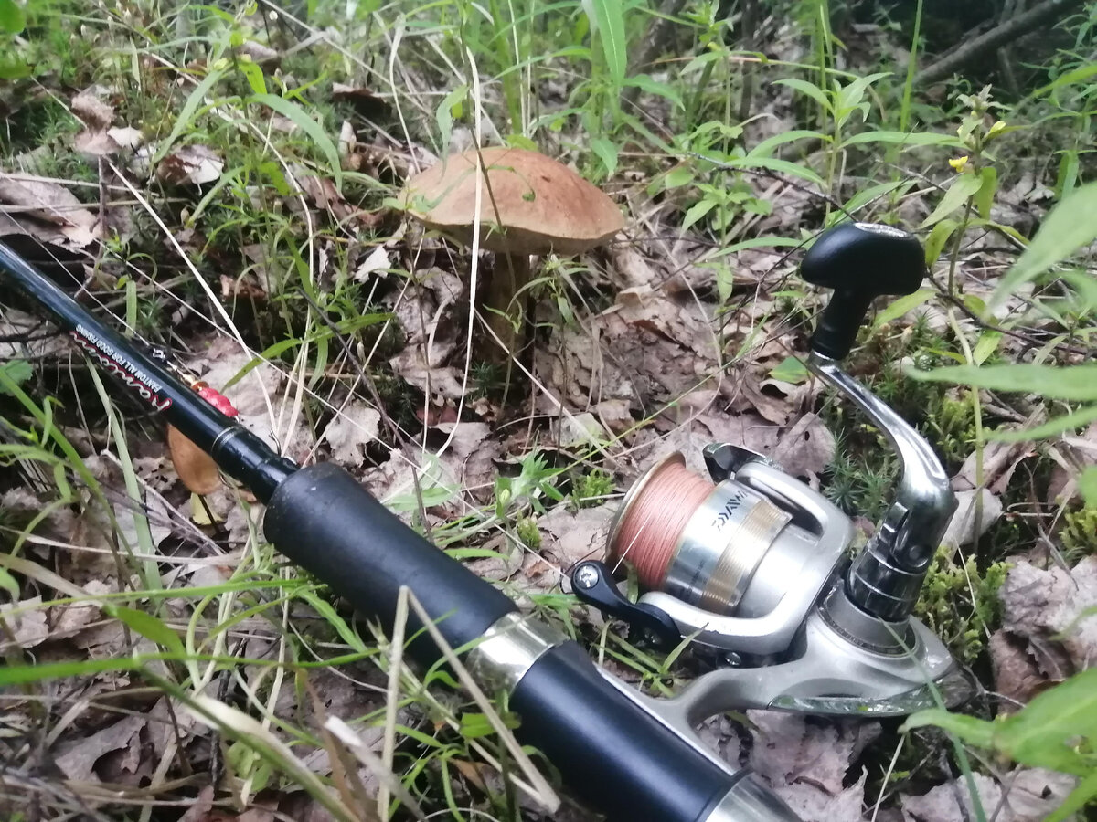 Приятное с полезным