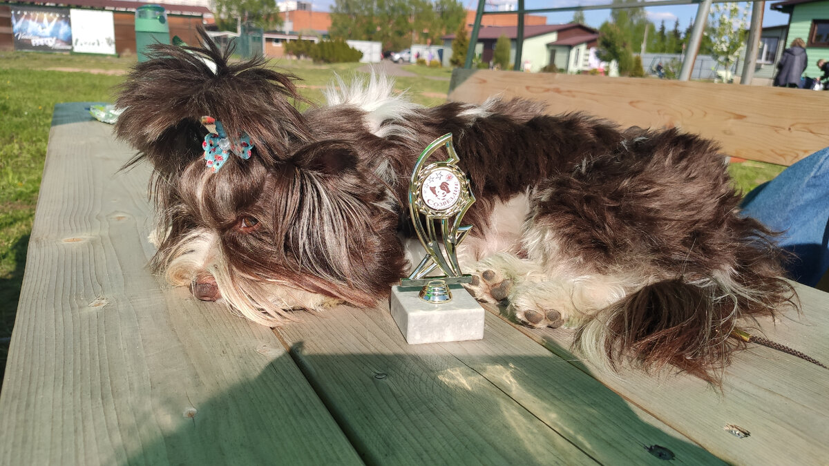 Я очень устал