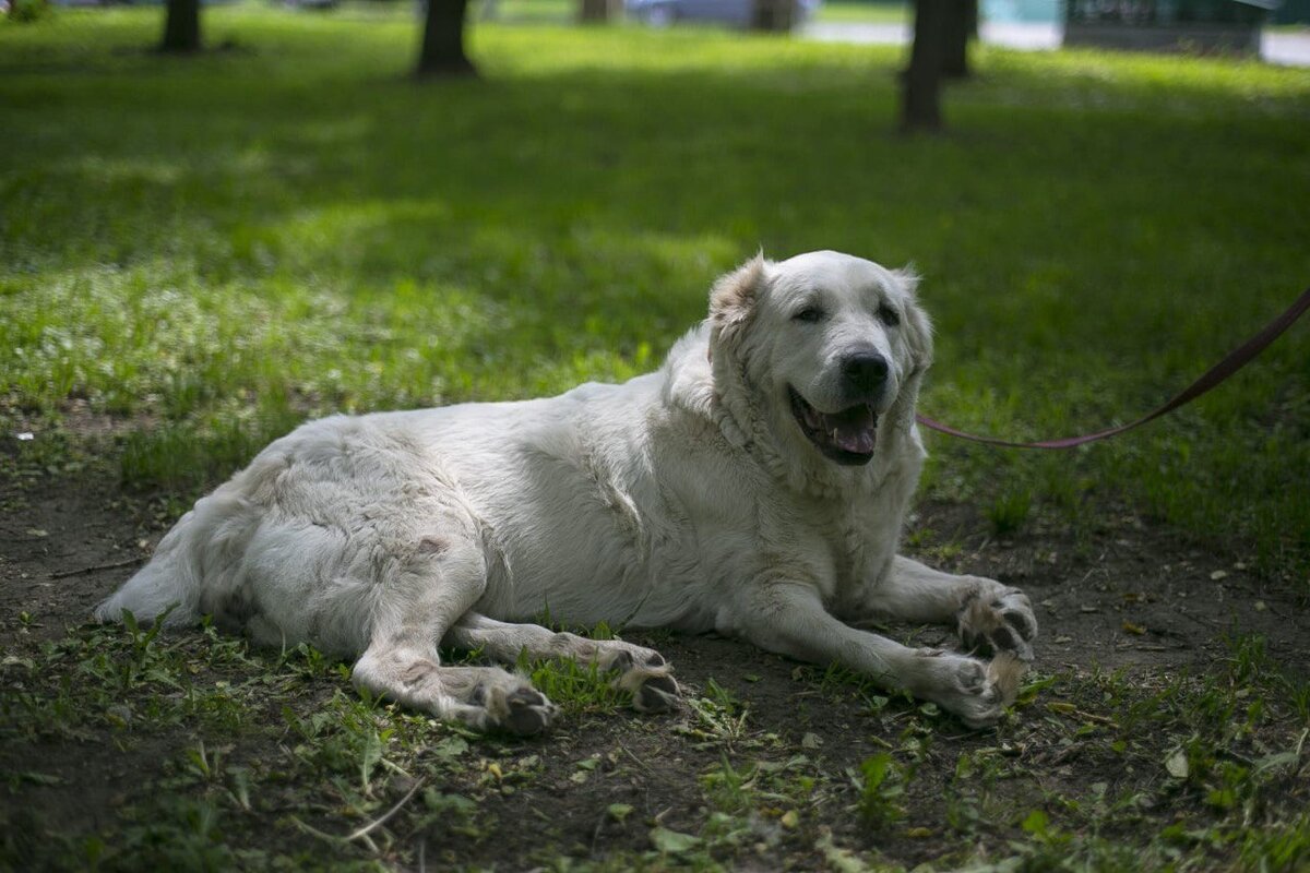 Танюша дама интересная и харизматичная