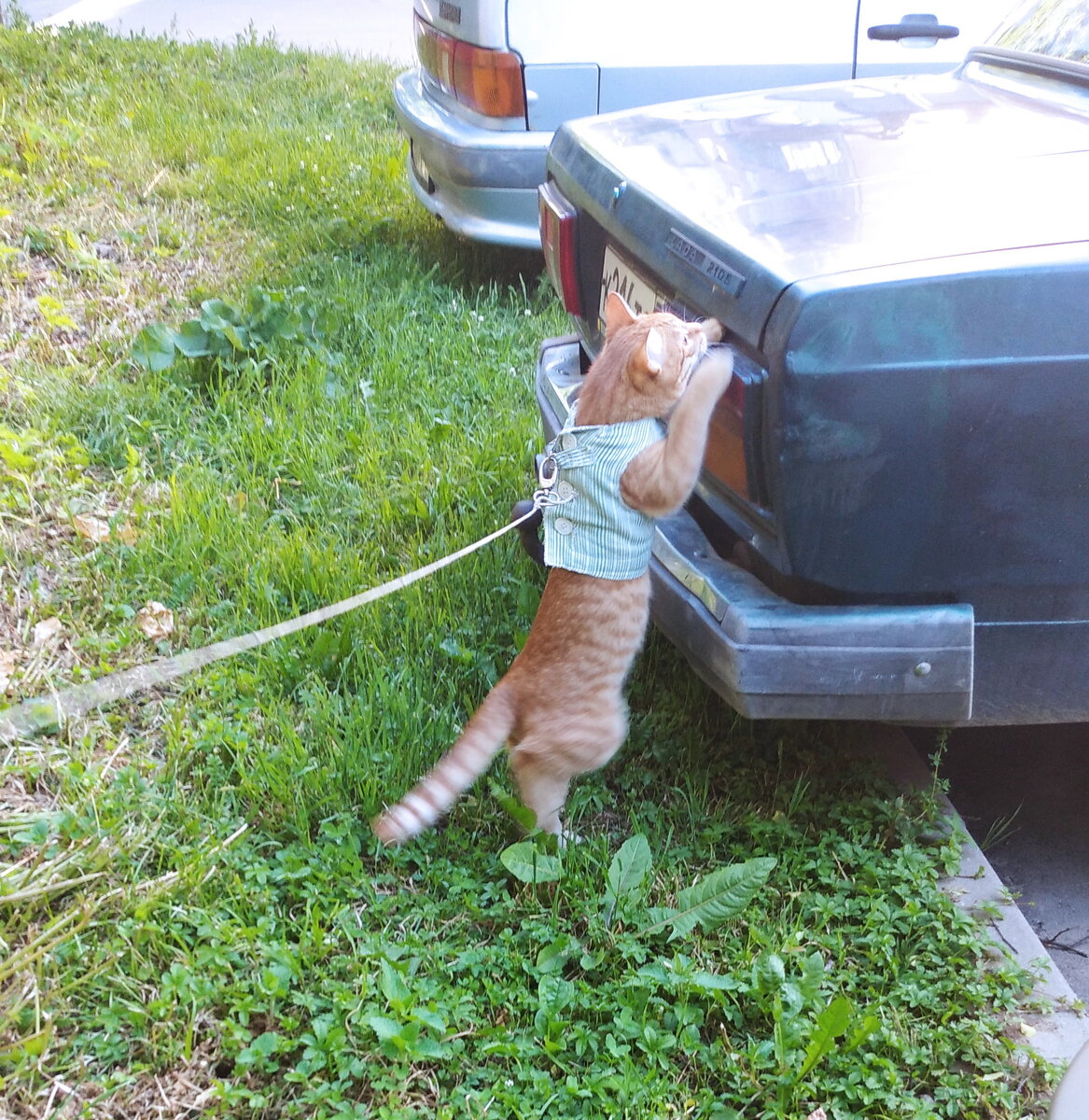 личное   фото.