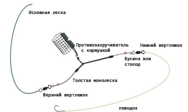 Как ловить карпа на фидерную снасть