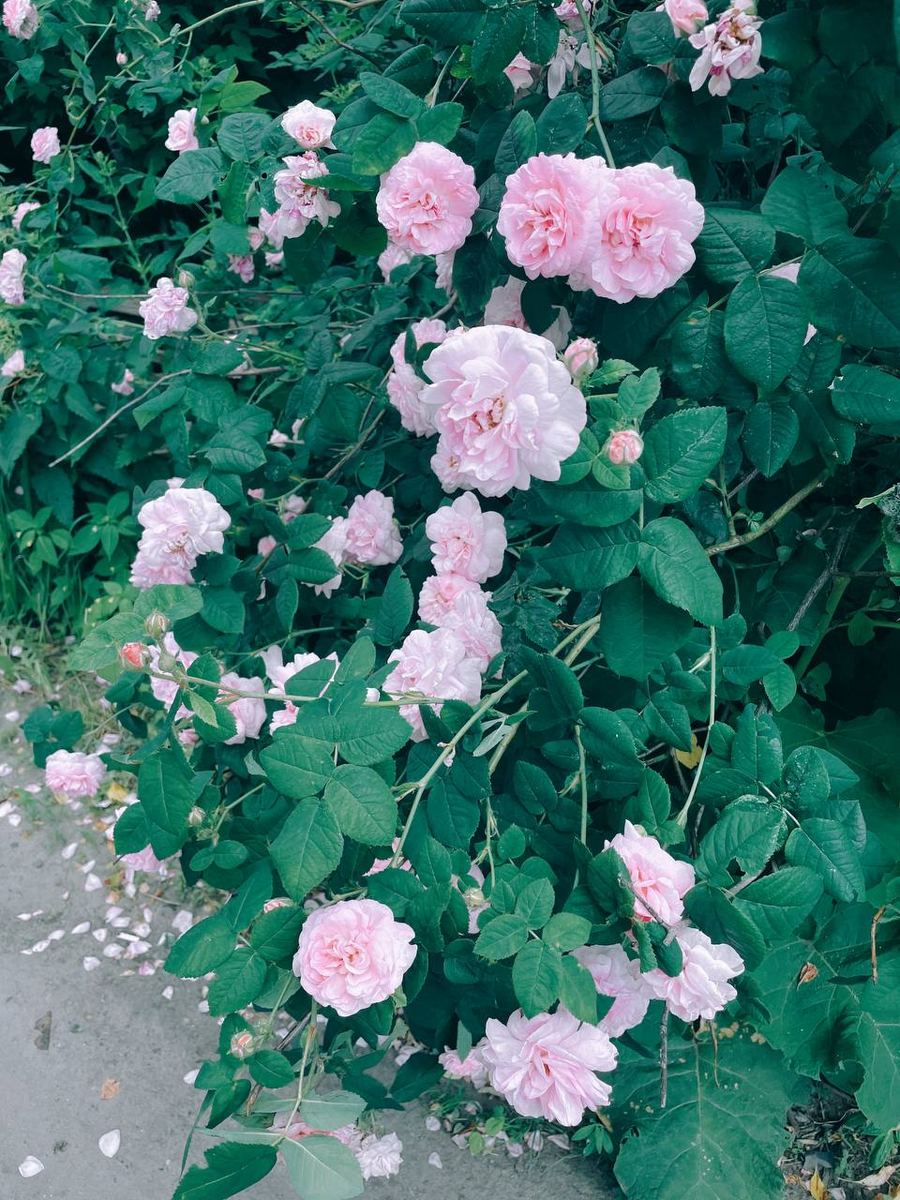 фото из личного архива