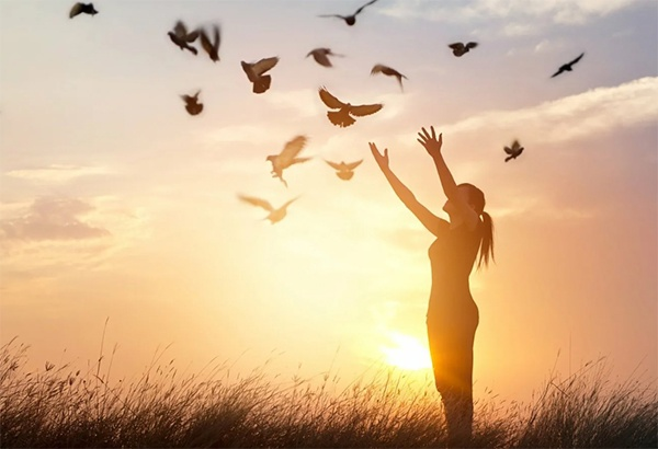 Любовница. Инструкция к применению