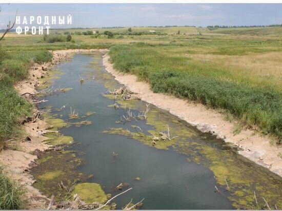     Народного фронта РБ