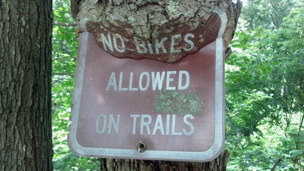 Фото © Reddit / TreesSuckingOnThings