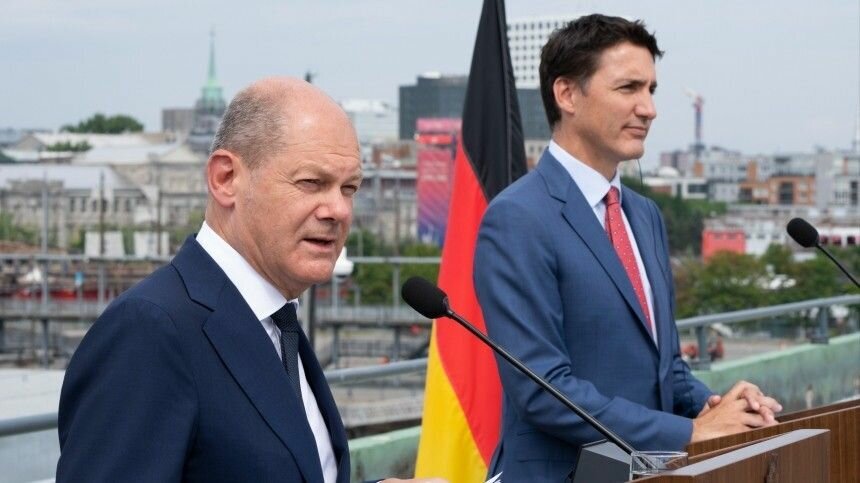 Яндекс картинки