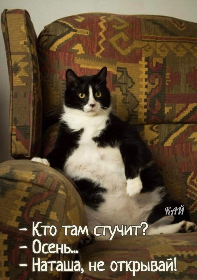 иллюстрация из яндекс картинки.