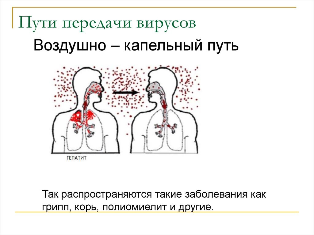 Воздушно капельный вич