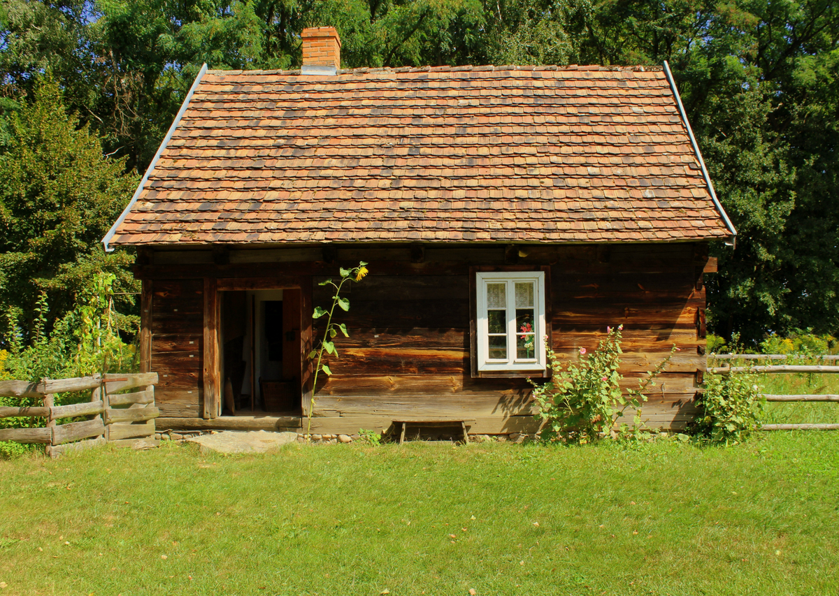 Источник: pexels.com