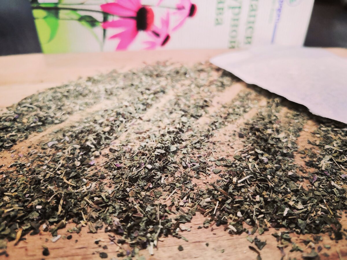 Трава Эхинацеи Пурпурной, ее можно добавлять в чай 