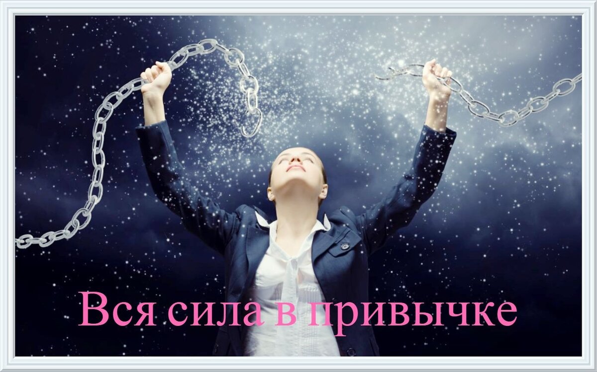 Фотография для оформления статьи взята из открытого источника. 