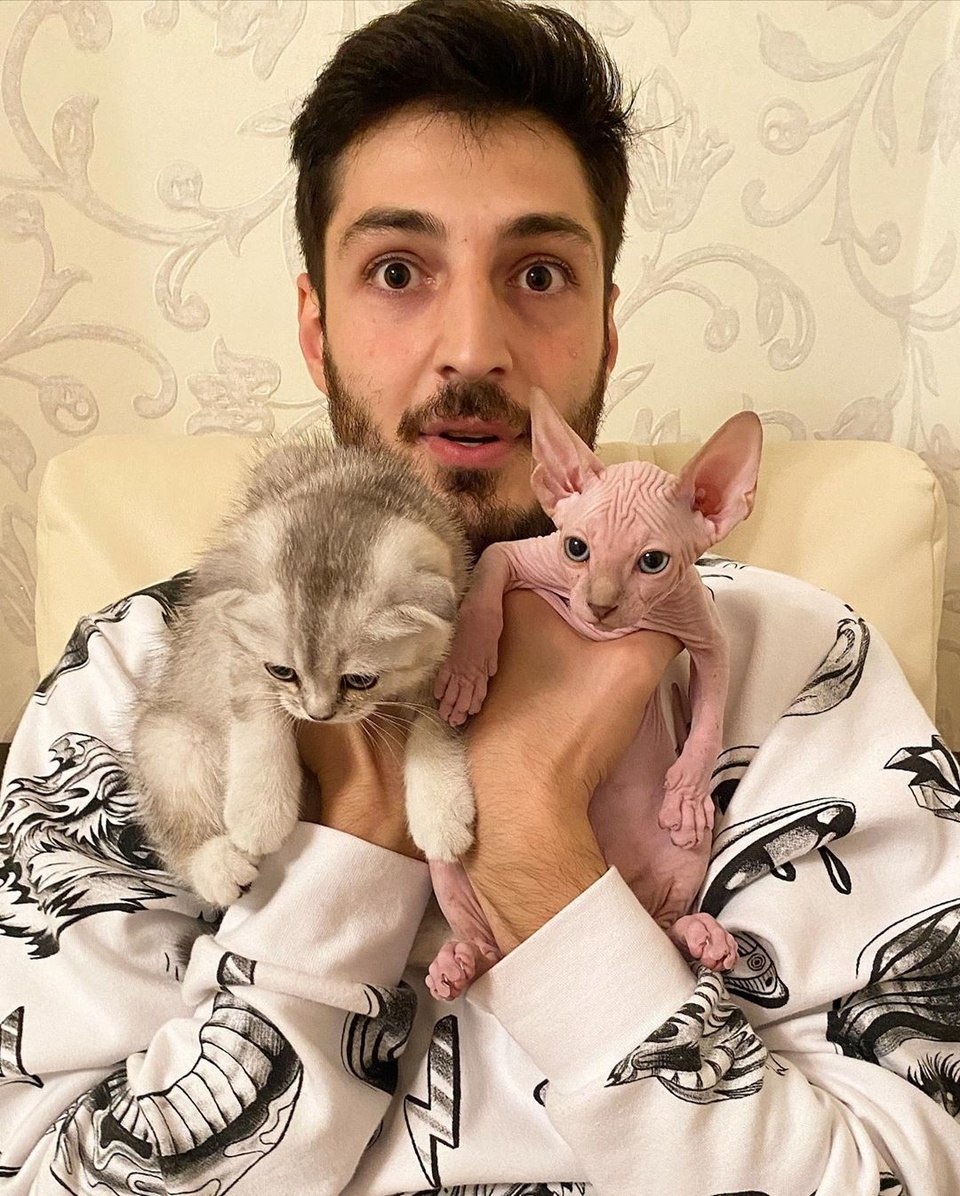 Супруги оставили одного из котят 
​Фото: «Инстаграм» 