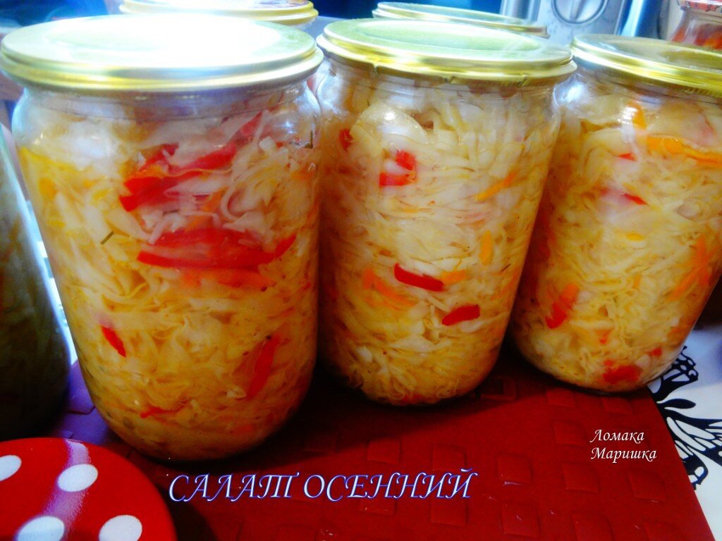 Салат с капустой и перцем для длительного хранения.Для приготовления понадобятся капуста, морковь, лук, сладкий порей, яблочный уксус 9%, масло растительное нерафинированное, соль и сахар.