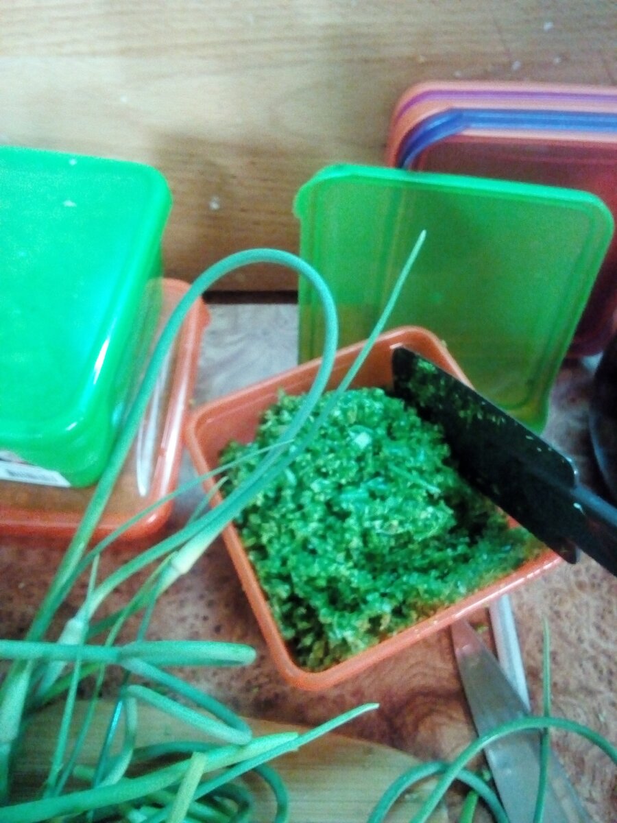 режем стрелки и перемалываем в комбайне или на мясорубке