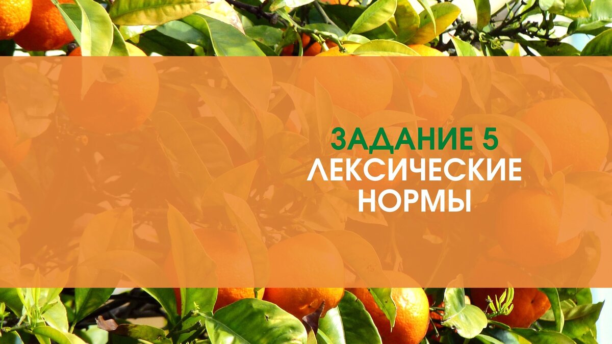 Вопросы из задания 5 теста ЕГЭ