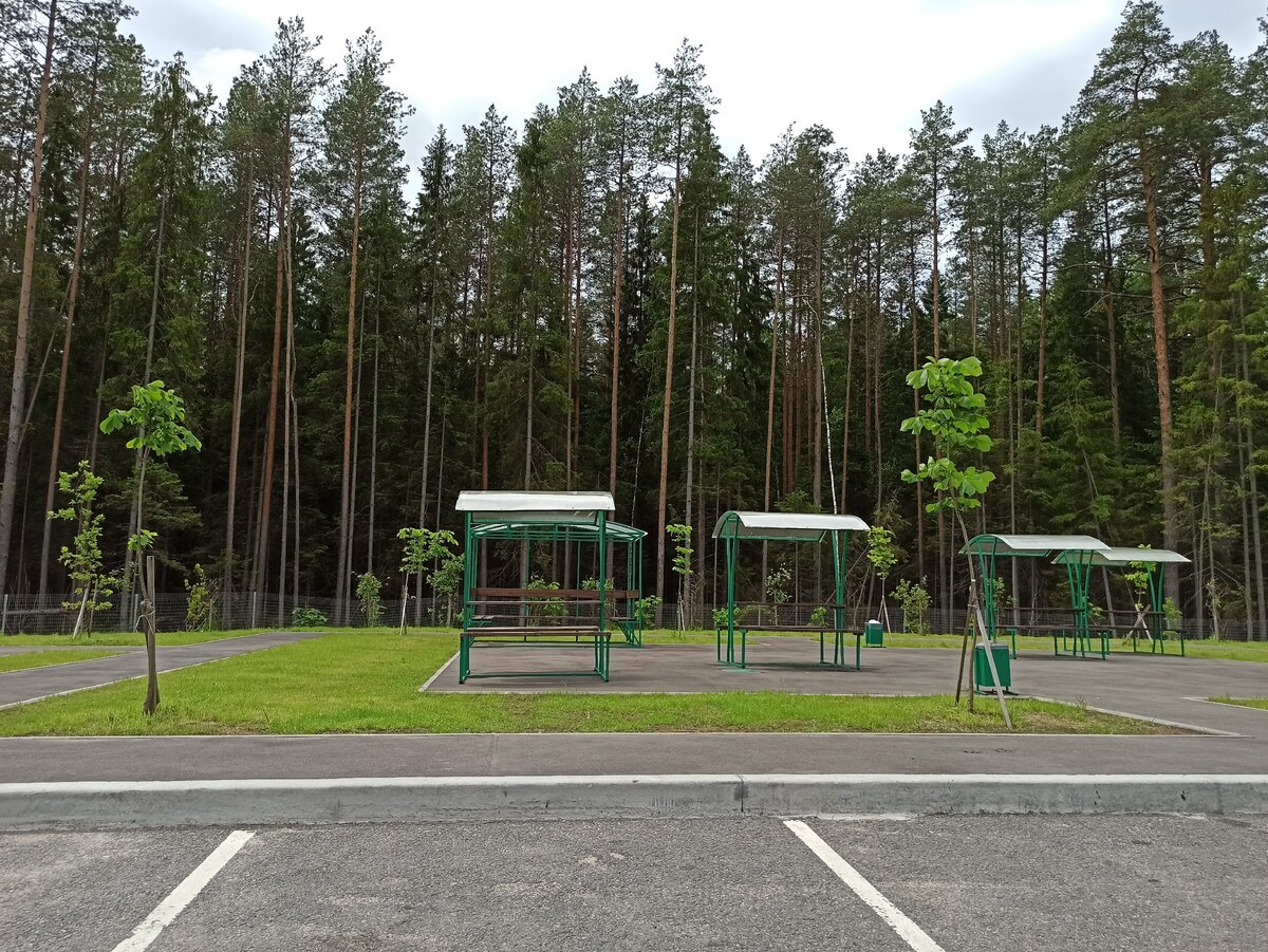 Зона отдыха на М11