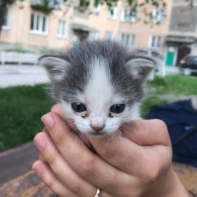 Таким нашли Леню