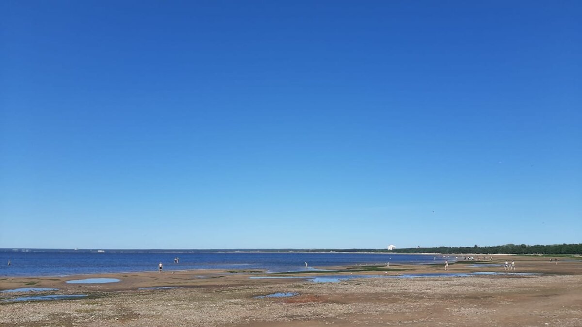 Такие выходные нравятся мне гораздо больше бесконечной домашней уборки