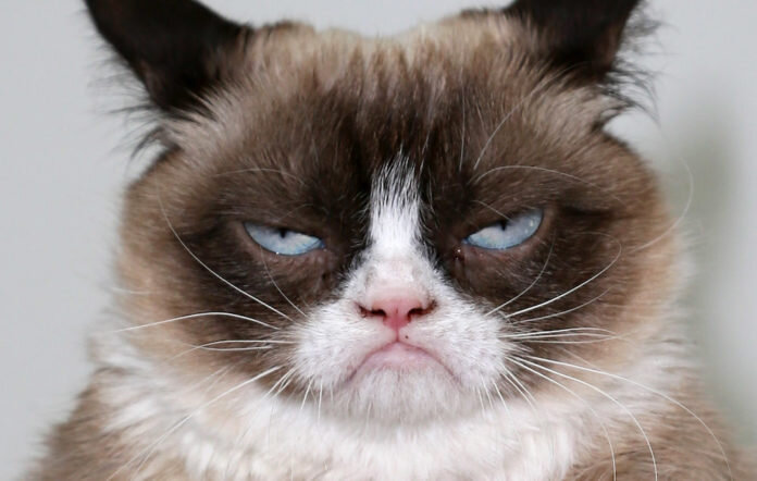 Don't get on my nerves, bro.