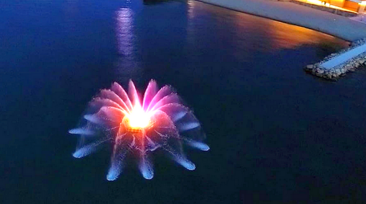 Уникальный фонтан Фото из интернета