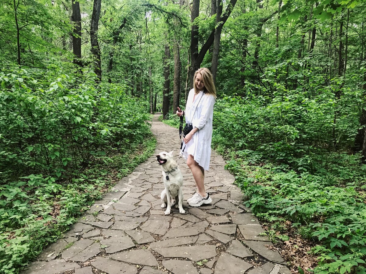 Наглядная демонстрация