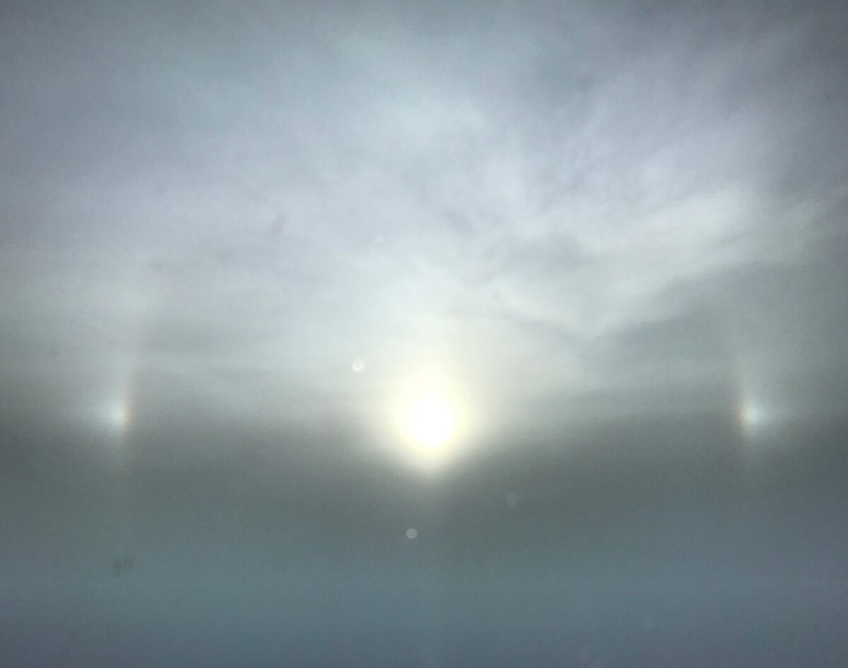 Эффект гало в приземном тумане. Фото из открытых источников