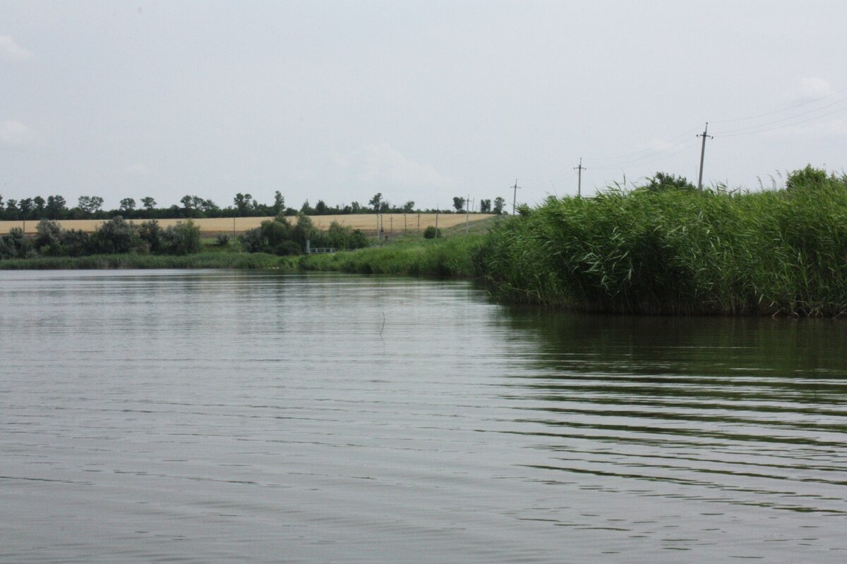 Курлацкий пруд таганрог