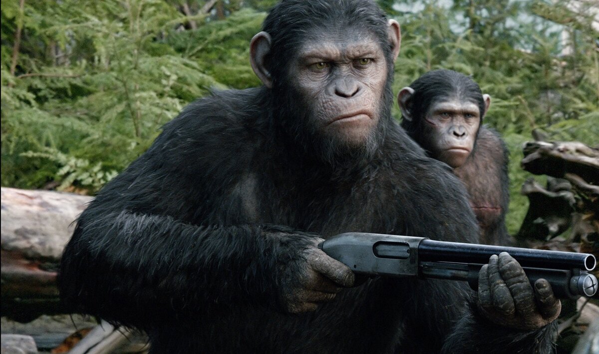 Кадр из фильма планета обезьян