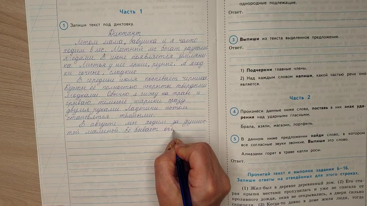 ВПР по русскому языку в 4 классе. Диктант и 2 задания к диктанту. Вариант 6.