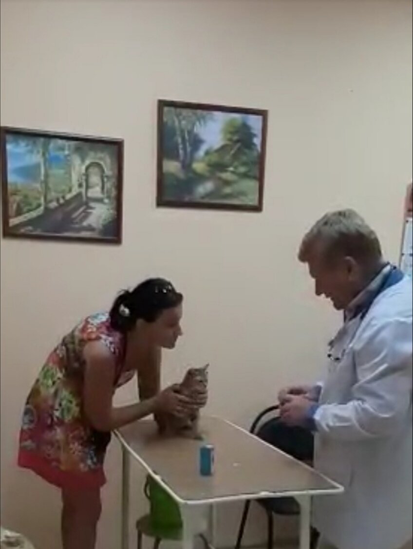 В кабинете у доктора