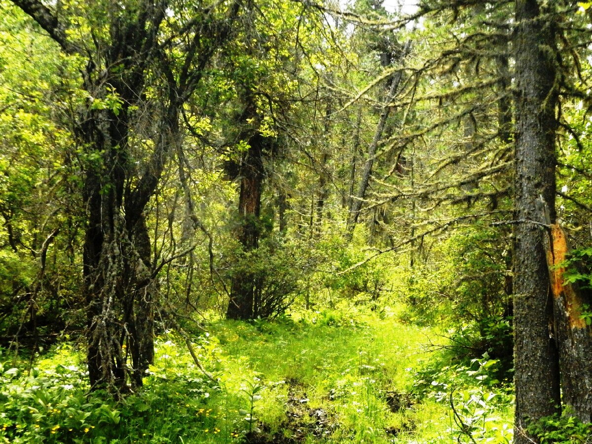 На пути к озеру