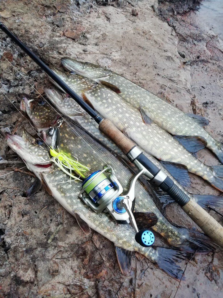 фото из архива автора