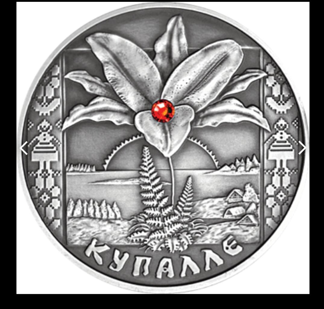 Фото из интернета. Белорусская памятная монета