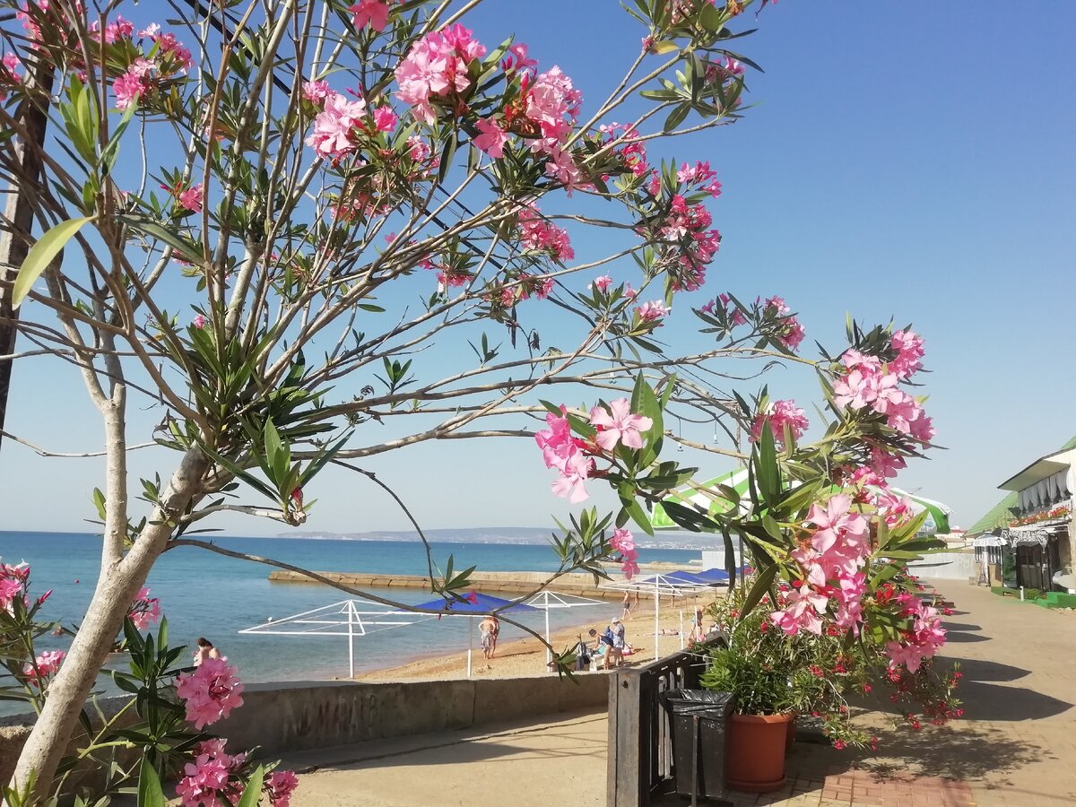 Набережная