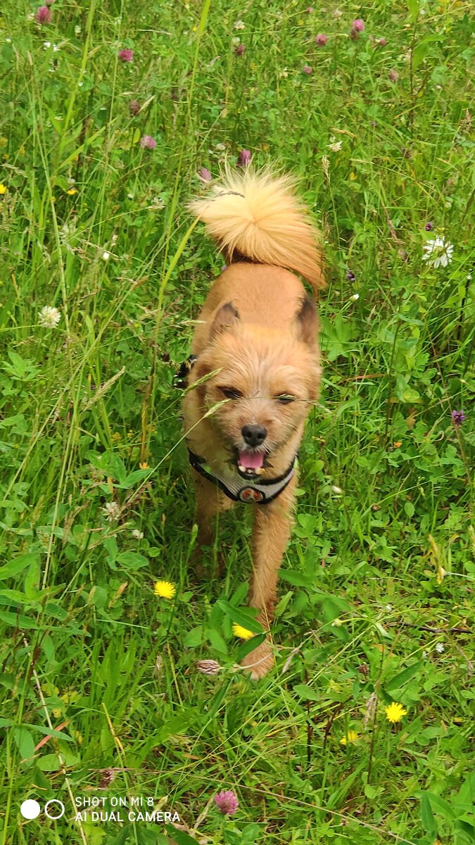 Можно обалдеть от запахов в лесу