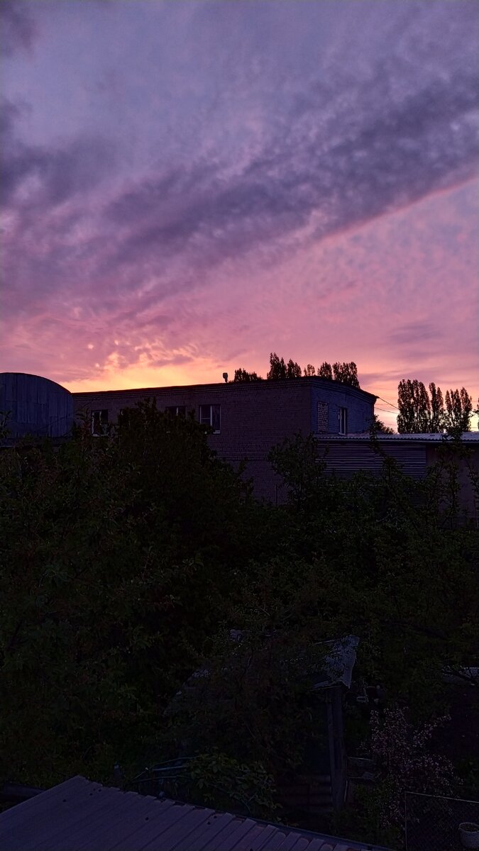 Такие фотографии сложно сделать в автоматическом режиме камеры, но есть одна хитрость - Pro режим в стандартном приложение 📷камера