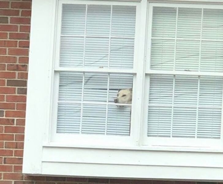 © NiaC56 / RedditРЕКЛАМАРЕКЛАМА